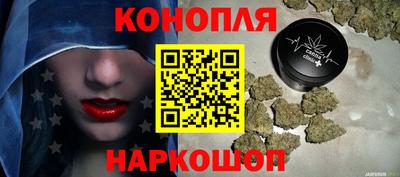 гидра Краснознаменск