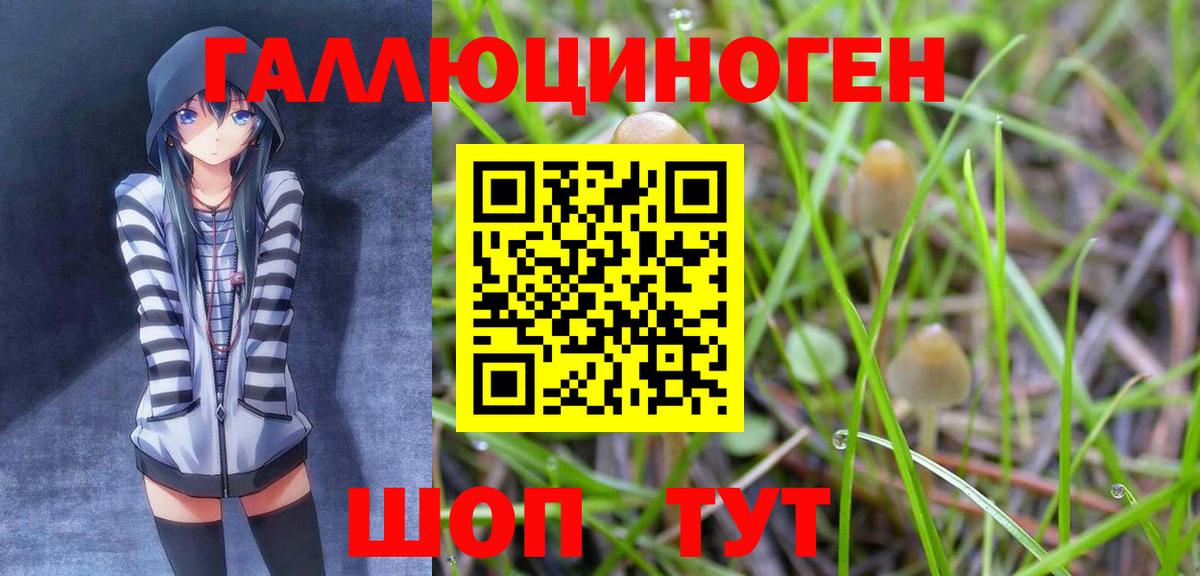 Псилоцибиновые грибы Cubensis  Галлюциногенные грибы мухоморы  Вход с VPN  Красногорск 